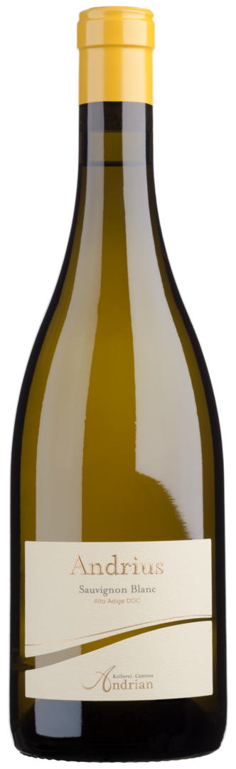 Sauvignon Blanc 'Andrius' DOC, Cantina Andrian 2020